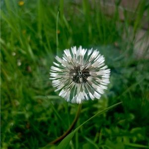 Meet your Posher, Naomi